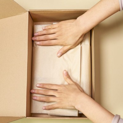 carton box sg 