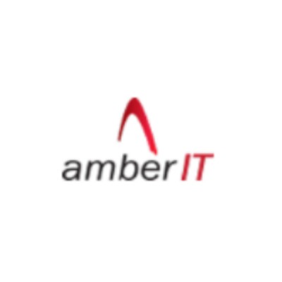 amberit com05